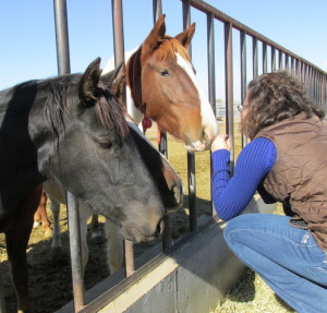 A visitor with horses at the BLM's Delta facility