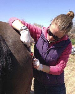 Dr. Kate Schoenhals of South Mountain Equine