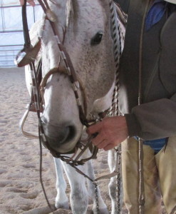 Randy Rieman bridles his horse.