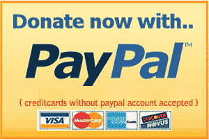 how-to-add-paypal-donate-button