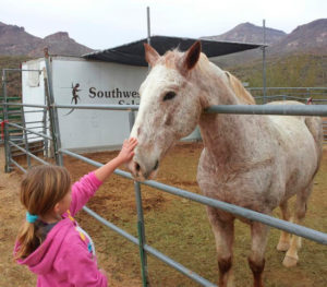 chey-by-horse-touching-nice